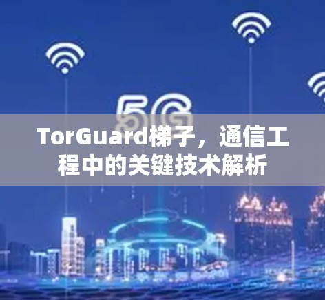 TorGuard梯子，通信工程中的关键技术解析