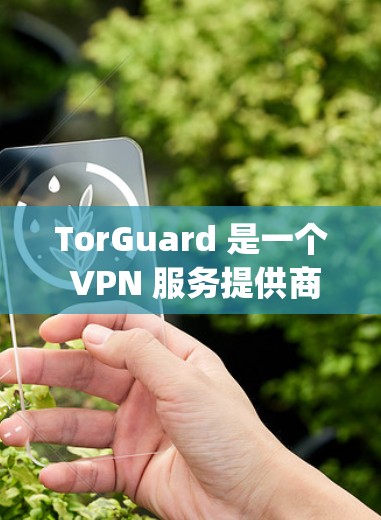 TorGuard 是一个 VPN 服务提供商,用户可以通过他们的官方网站或客户端进行更新以获取最新的软件和安全 patches TorGuard 是一个 VPN 服务提供商,用户可以通过他们的官方网站或客户端进行更新以获取最新的软件和安全 patches