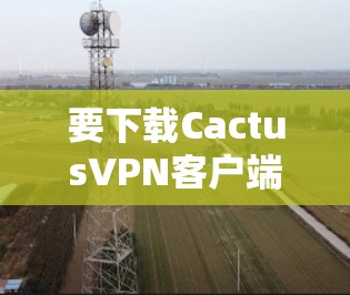 要下载CactusVPN客户端,可以按照以下步骤操作 要下载CactusVPN客户端,可以按照以下步骤操作