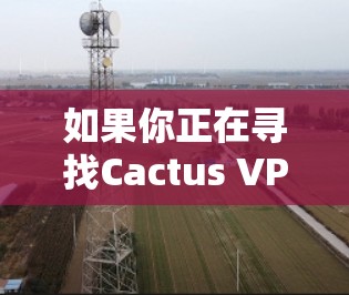 如果你正在寻找Cactus VPN的Mac版,以下是一些建议和可能的解决方法