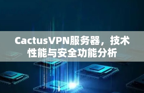 CactusVPN服务器,技术性能与安全功能分析