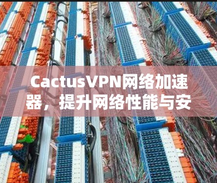CactusVPN网络加速器,提升网络性能与安全防护
