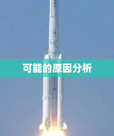 可能的原因分析