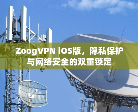 ZoogVPN iOS版,隐私保护与网络安全的双重锁定