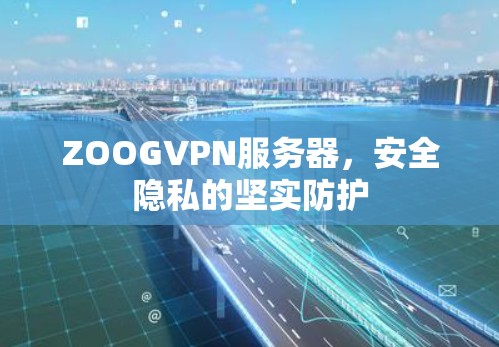 ZOOGVPN服务器,安全隐私的坚实防护