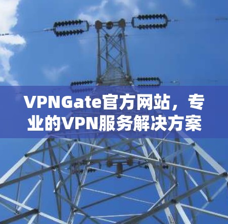 VPNGate官方网站,专业的VPN服务解决方案