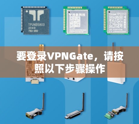 要登录VPNGate,请按照以下步骤操作