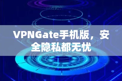 VPNGate手机版，安全隐私都无忧