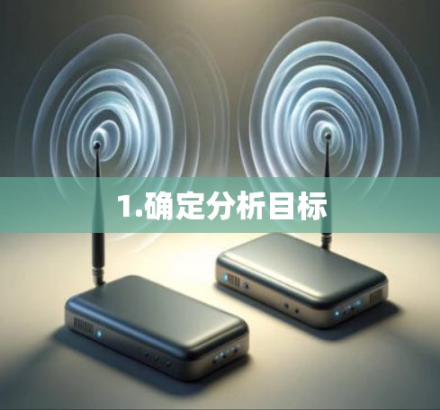 1.确定分析目标