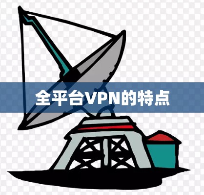 全平台VPN的特点