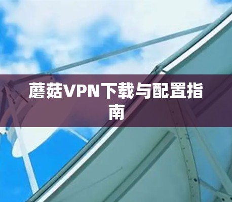 蘑菇VPN下载与配置指南 蘑菇VPN下载与配置指南