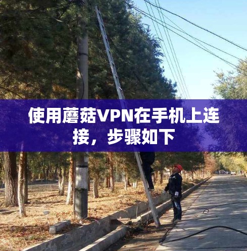 使用蘑菇VPN在手机上连接,步骤如下