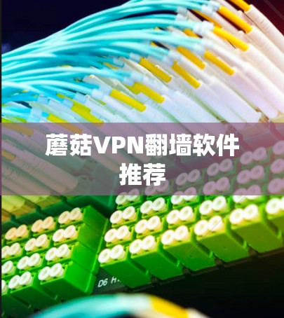 蘑菇VPN翻墙软件推荐
