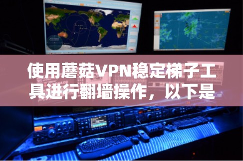 使用蘑菇VPN稳定梯子工具进行翻墙操作，以下是详细的步骤指南