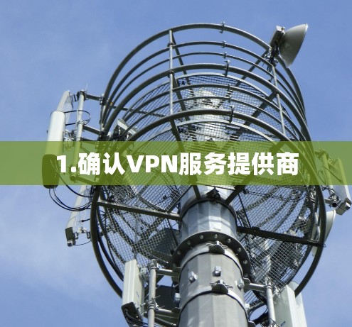 1.确认VPN服务提供商