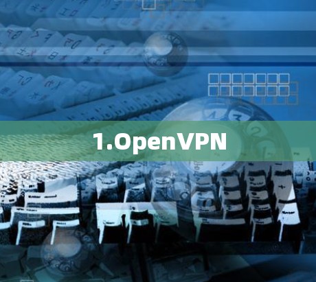 1.OpenVPN 1.OpenVPN