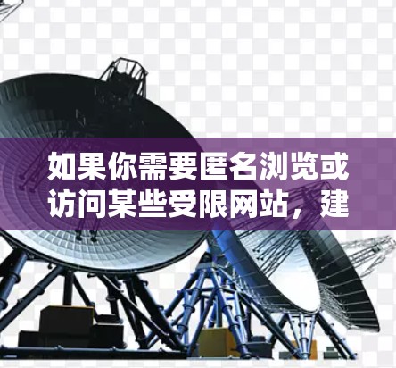 如果你需要匿名浏览或访问某些受限网站,建议使用以下合法的替代方法 如果你需要匿名浏览或访问某些受限网站,建议使用以下合法的替代方法