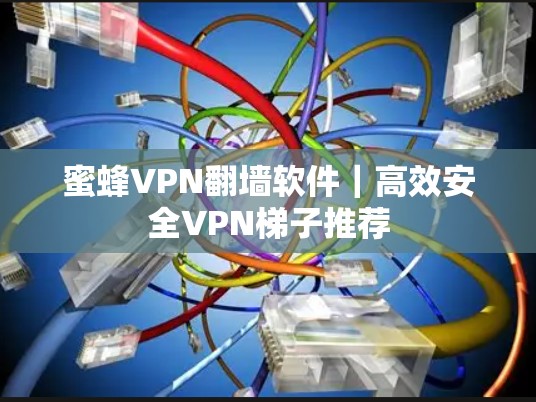 蜜蜂VPN翻墙软件｜高效安全VPN梯子推荐