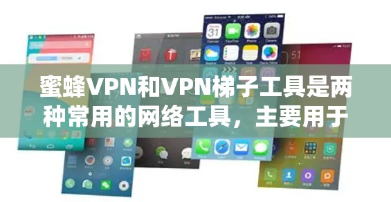 蜜蜂VPN和VPN梯子工具是两种常用的网络工具,主要用于实现网络加密、匿名访问和绕过网络限制。以下是对它们的详细介绍
