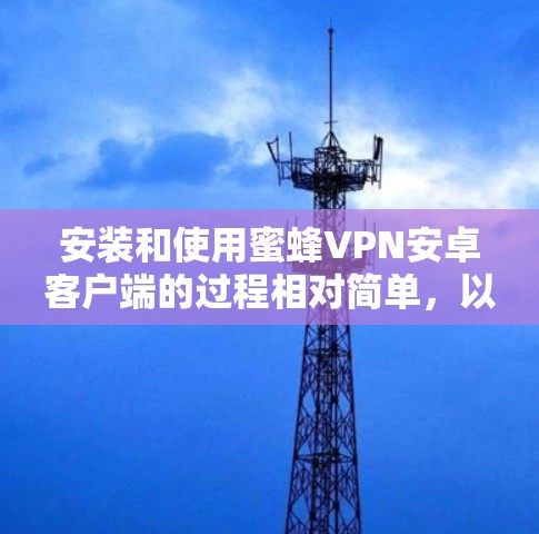 安装和使用蜜蜂VPN安卓客户端的过程相对简单,以下是详细的步骤指南