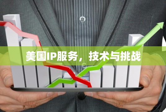 美国IP服务,技术与挑战 美国IP服务,技术与挑战
