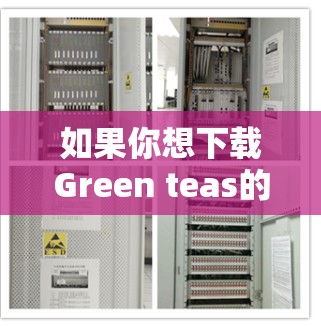 如果你想下载Green teas的VPN安卓客户端,可以按照以下步骤进行 如果你想下载Green teas的VPN安卓客户端,可以按照以下步骤进行