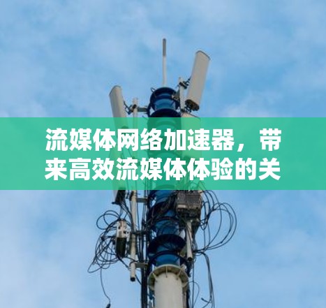 流媒体网络加速器,带来高效流媒体体验的关键技术 流媒体网络加速器,带来高效流媒体体验的关键技术