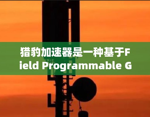 猎豹加速器是一种基于Field Programmable Gate Array FPGA)的网络加速技术,旨在优化数据中心的网络性能。以下是对猎豹加速器的详细分析和总结 猎豹加速器是一种基于Field Programmable Gate Array FPGA)的网络加速技术,旨在优化数据中心的网络性能。以下是对猎豹加速器的详细分析和总结