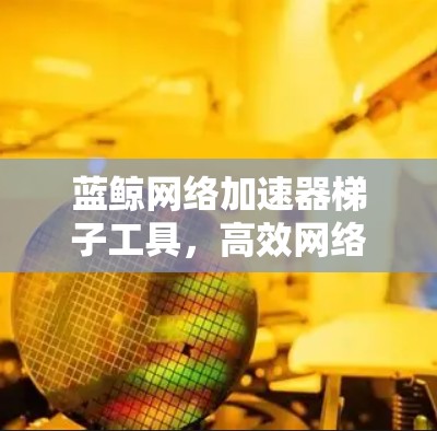 蓝鲸网络加速器梯子工具,高效网络性能解决方案 蓝鲸网络加速器梯子工具,高效网络性能解决方案