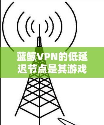蓝鲸VPN的低延迟节点是其游戏加速功能的核心组成部分，旨在通过优化网络连接，提升游戏体验。以下是对低延迟节点的详细分析
