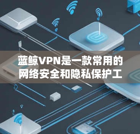 蓝鲸VPN是一款常用的网络安全和隐私保护工具，用户可以通过它来加密网络流量、保护隐私或绕过网络限制。以下是使用蓝鲸VPN的基本方法