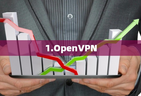 1.OpenVPN