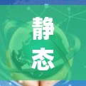 静态代理节点在系统架构中扮演着关键角色，主要用于提高系统性能和可靠性，同时保障服务安全。以下是对静态代理节点的详细分析