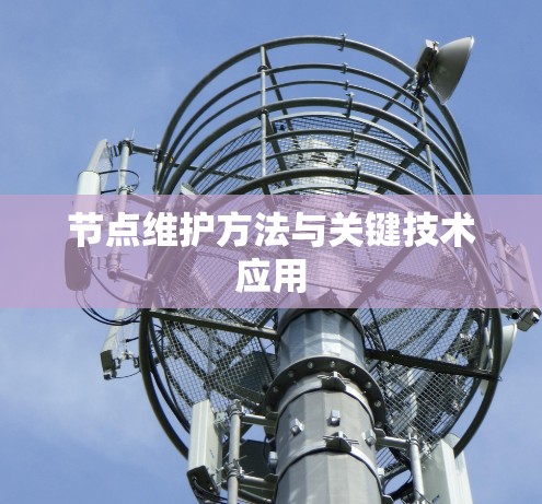 节点维护方法与关键技术应用