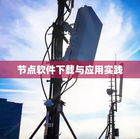 节点软件下载与应用实践
