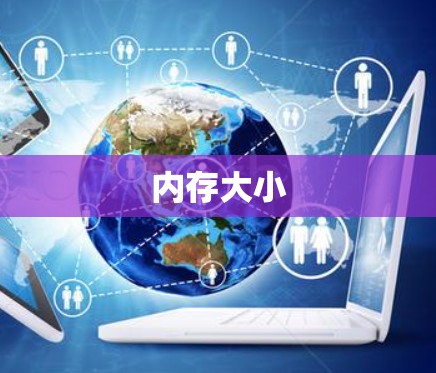 内存大小