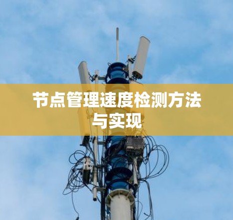节点管理速度检测方法与实现