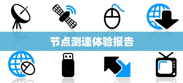 节点测速体验报告