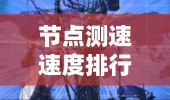 节点测速速度排行分析
