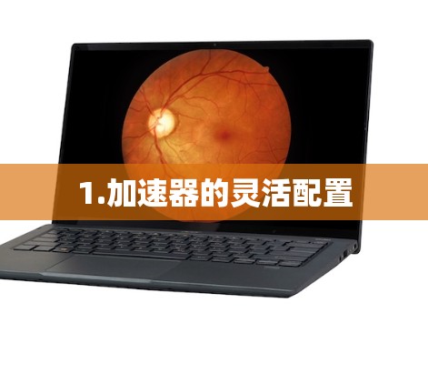 1.加速器的灵活配置 1.加速器的灵活配置