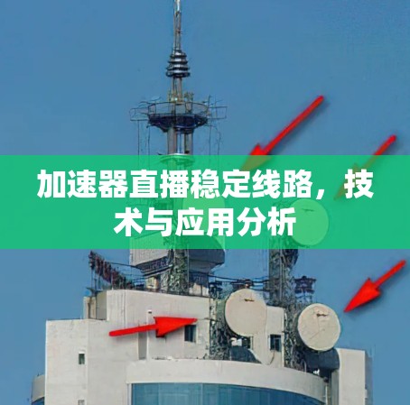 加速器直播稳定线路,技术与应用分析