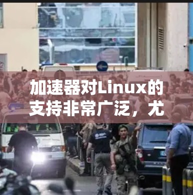 加速器对Linux的支持非常广泛,尤其是在数据处理和机器学习领域。以下是对不同加速器在Linux支持情况的总结