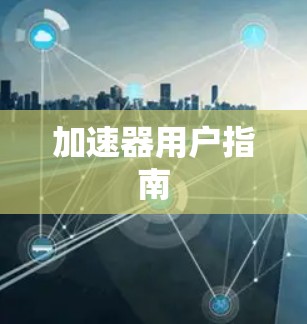 加速器用户指南 加速器用户指南