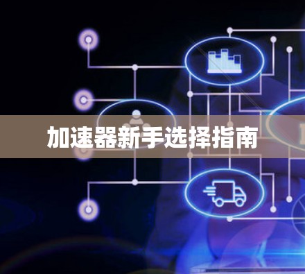 加速器新手选择指南 加速器新手选择指南
