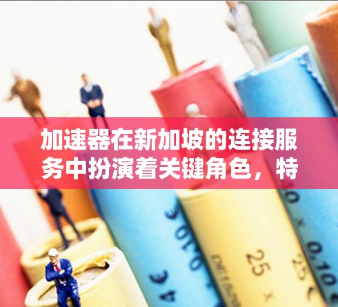 加速器在新加坡的连接服务中扮演着关键角色，特别是在优化网络性能方面。以下是对加速器及其在新加坡应用的详细总结
