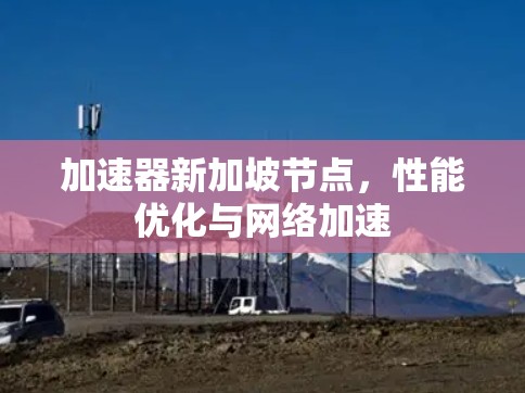 加速器新加坡节点，性能优化与网络加速