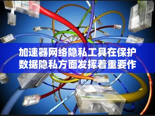 加速器网络隐私工具在保护数据隐私方面发挥着重要作用，主要通过联邦学习和差分隐私等技术实现数据本地处理和模型训练。以下是对这些工具的详细分析