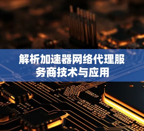 解析加速器网络代理服务商技术与应用 解析加速器网络代理服务商技术与应用
