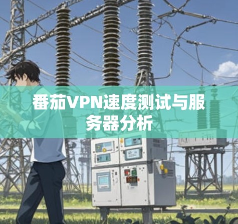 番茄VPN速度测试与服务器分析