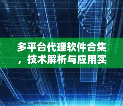 多平台代理软件合集，技术解析与应用实践